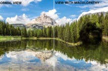 Paysage flou illustrant une vision avec maculopathie