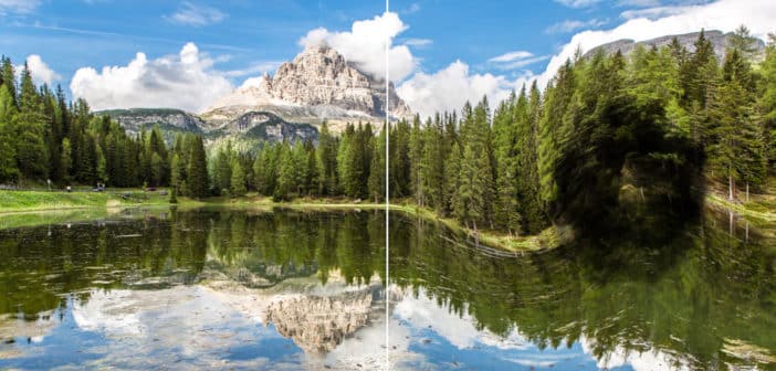 Paysage flou illustrant une vision avec maculopathie