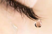 Quoi de neuf en surface oculaire ?