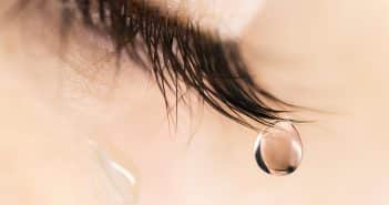 Quoi de neuf en surface oculaire ?