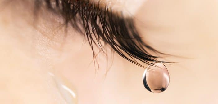Quoi de neuf en surface oculaire ?