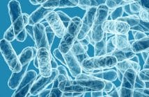 Microbiote et DMLA : un lien plus que complexe