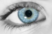 Quoi de neuf en oculoplastie ?