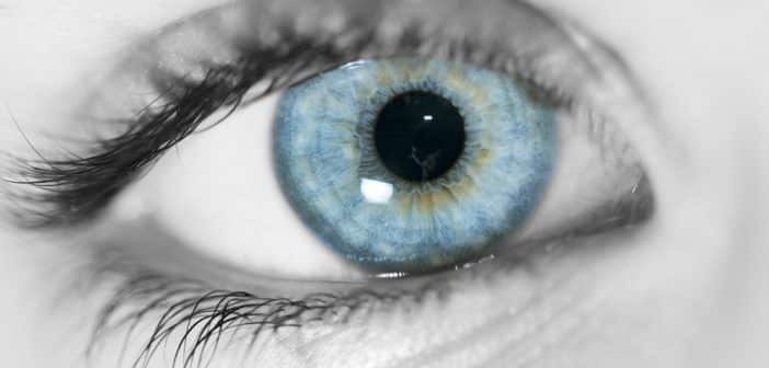 Quoi de neuf en oculoplastie ?