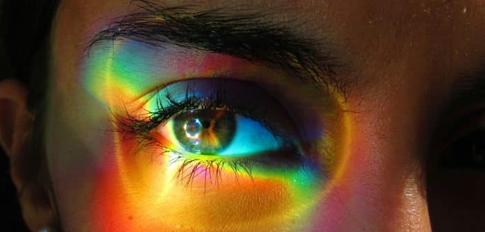 Néovaisseaux du myope fort et rupture de la membrane de Bruch : ressemblances et différences